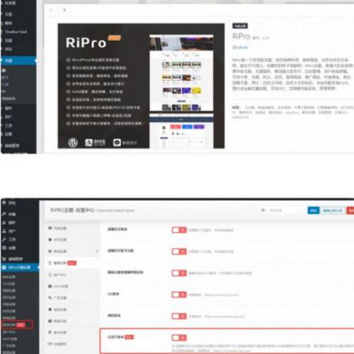 RiPro6.3.8日主题修复版 WordPress资源下载站主题模板
