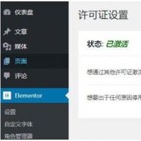 Elementor Pro v2.8.2 可视化编辑器中文专业版cloudonex-business-suite-v4.0.2