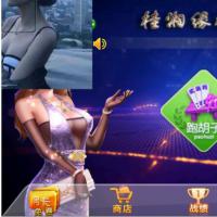 桂林字牌双王扯胡子棋牌源码完整下载 牌面由汉字数字的大写和小写各10个组成