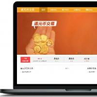 虚拟交易平台/易通+福源+通源+认购多种交易平台源码