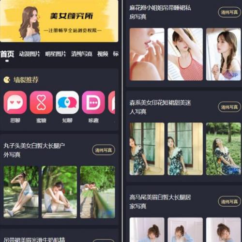 新抖你妹原版主题源码仿抖音模式套图SEO源码_WordPress图片主题