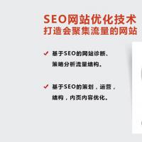 SEO新手进阶高手网站优化视频教程高级运营班 大型网站SEO执行方案