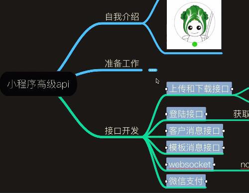 微信小程序Api视频教程12课