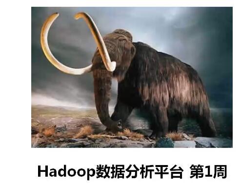 Hadoop云计算实战经典视频 深入浅出企业级应用开发实战案例（14G）