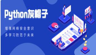 Python灰帽子网络安全实践视频教程22G DNS欺骗与钓鱼网站/shell脚本与自动化