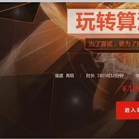 看得见的算法 7个经典应用诠释算法精髓视频教程10章