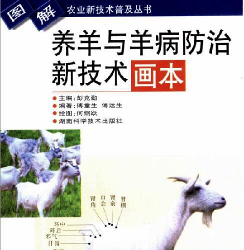 图解农业新技术普及丛书—养羊与羊病防治新技术画本.pdf电子书