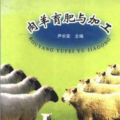 肉羊育肥与加工.pdf电子书