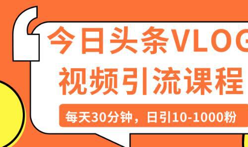 今日头条VLOG视频引流条课程 每天30分钟 日引10-1000粉