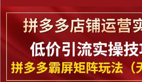 拼多多店铺运营实操低价引流实操技巧 拼多多霸屏矩阵玩法视频课程