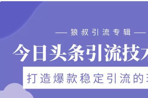 狼叔今日头条引流技术3.0 头条引流秘籍 VLOG引流技术