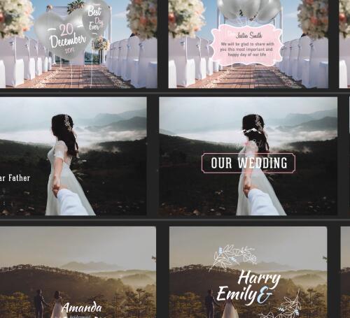 AE模板+PR预设-浪漫婚礼文字标题包装动画 Essential Wedding Titles
