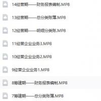 一般纳税人与小规模商业实战视频课程