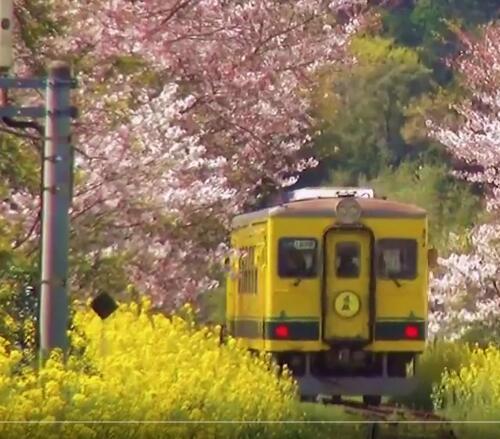 220款日系治愈系优美高铁火车动车铁路铁道背景景色自媒体短视频素材