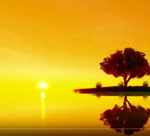 自媒体短视频日出日落朝阳黄昏夕阳海平面红日自然风景PR视频素材